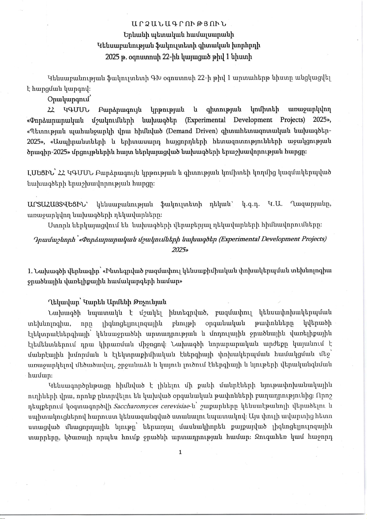 Experimentally Developed Projects 2025