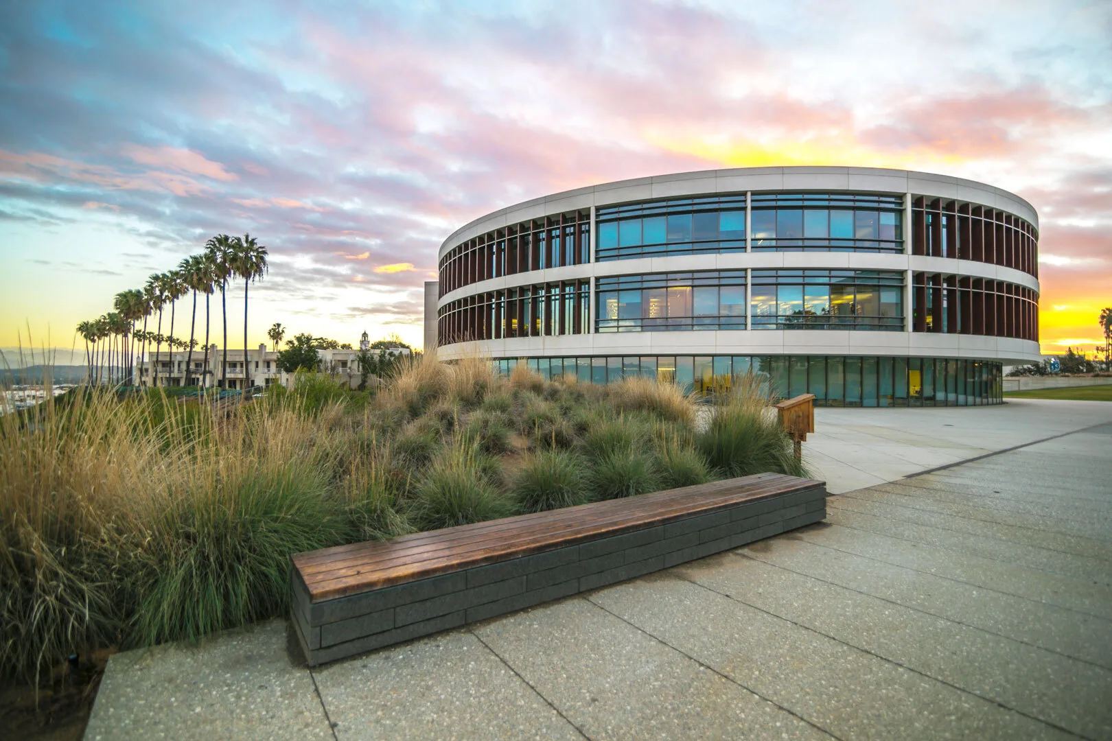 Loyola Marymount University_Hannon Library