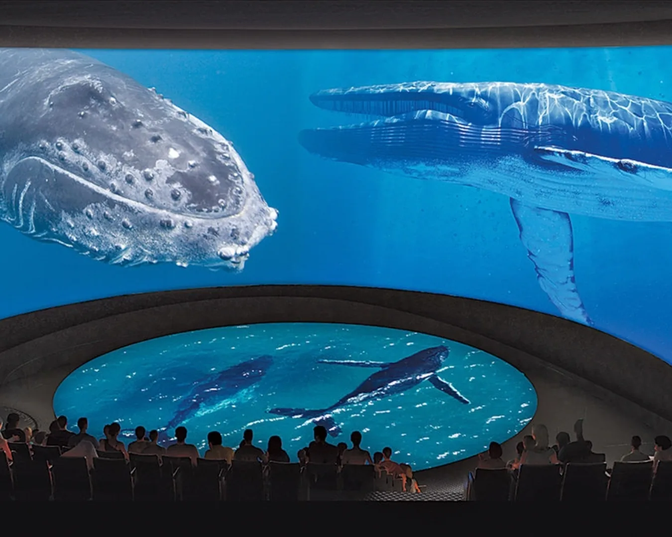 Aquarium Of The Pacific Pacific Visions Expansion Wh5