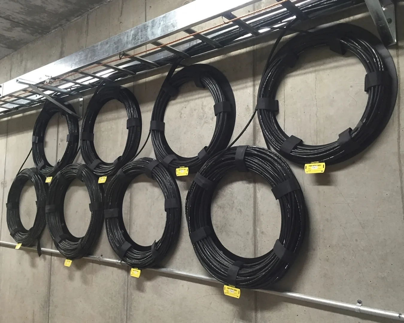 Fresno State Electrical Wh 2