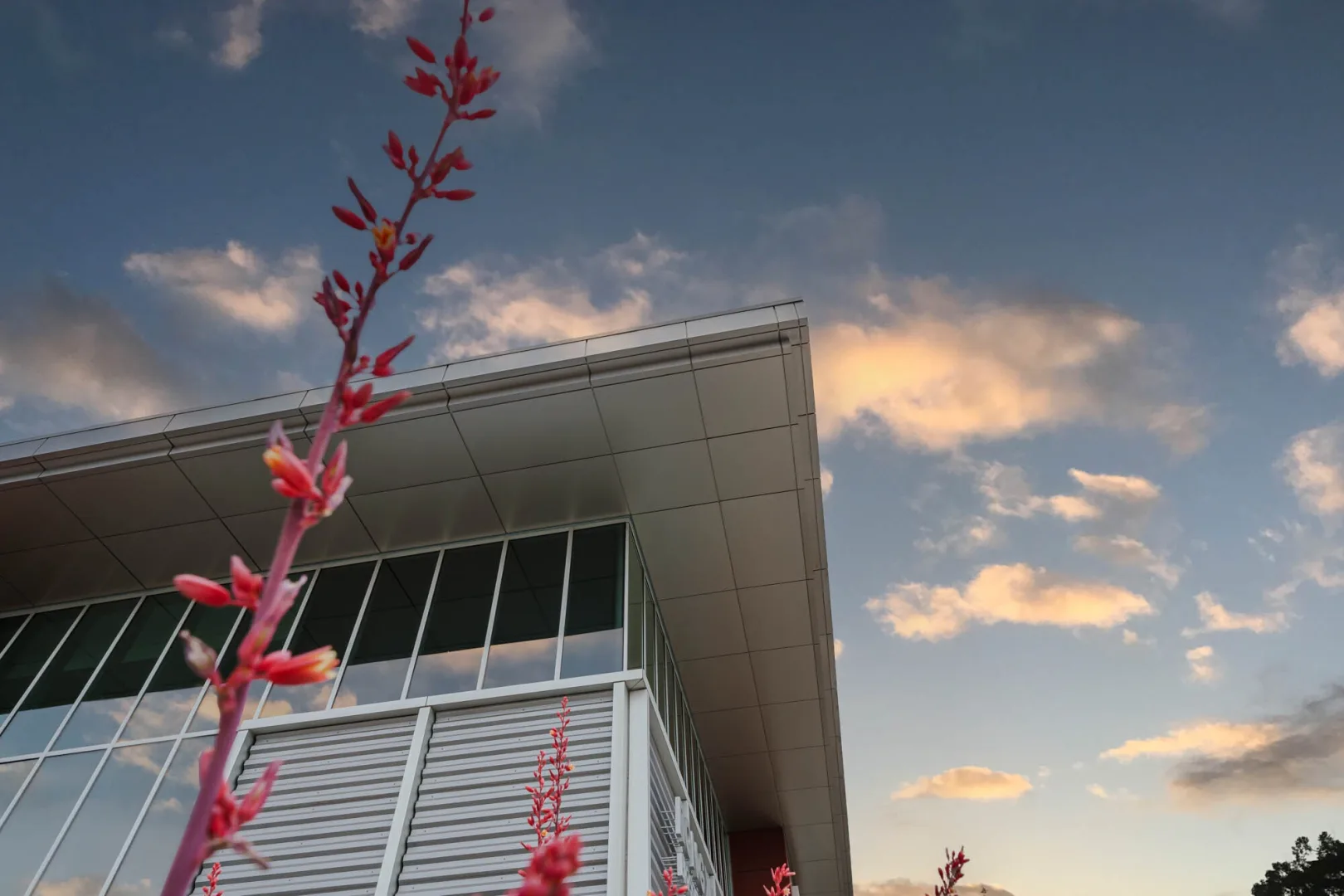 CSULA Bio Science Center Sunset2