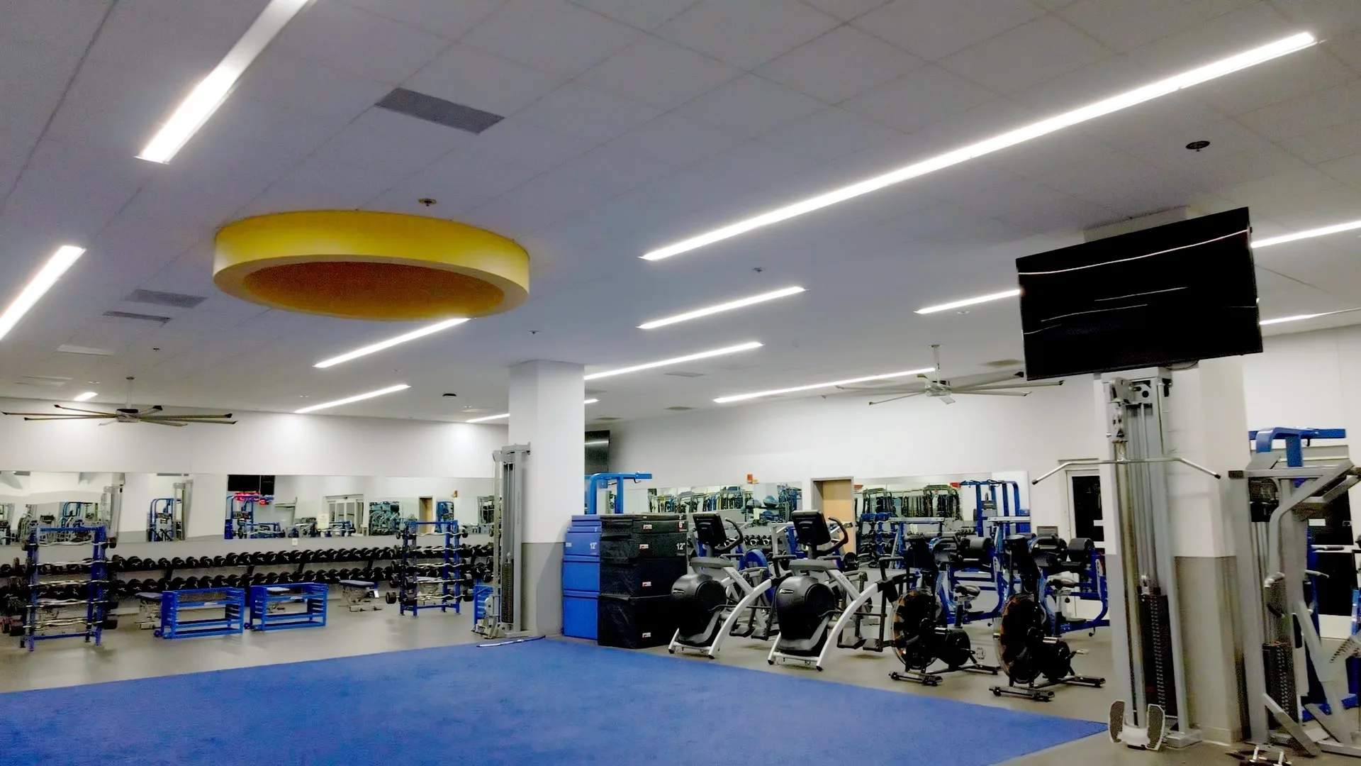 Health and Wellness 1