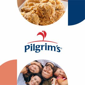 08 Pilgrims 500x500