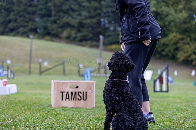 Tamsu Jump Grids Saturday