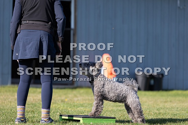 Tamsu Jump Grids Sunday