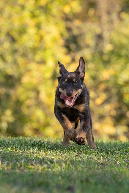 Kim and Fam.. NO SNAKE