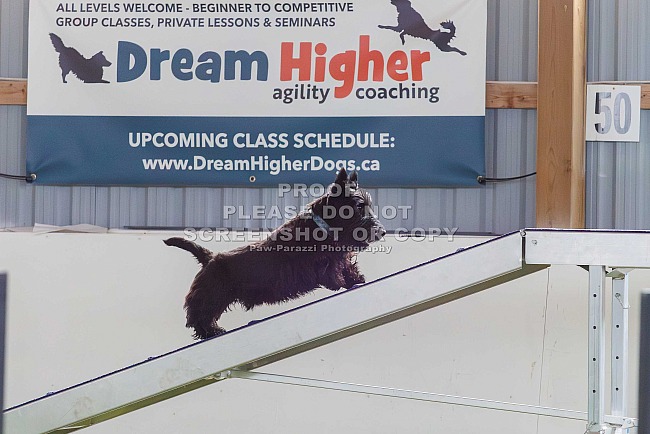 Back Yard Champions March 2026