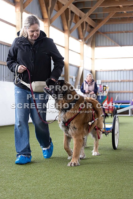 All Breed Drafting Seminar - April 18, 2026