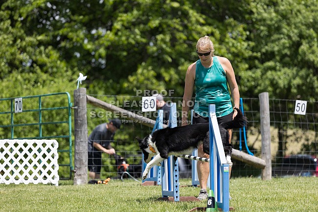 BYC Summer Cup 2026