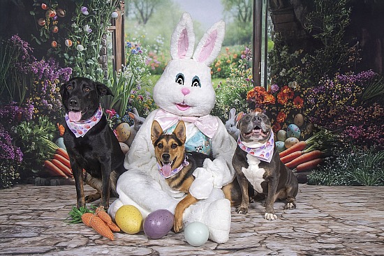 The Easter Bunny at Cle K9 Unleashed 3/21/26