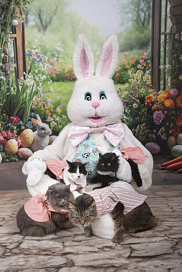 Easter Bunny at Style Mutt 3/21/26