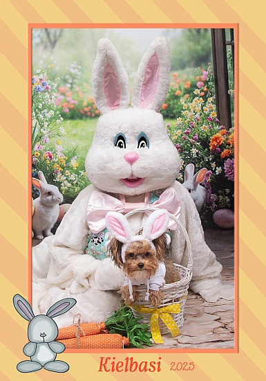 Easter Bunny at Pet's General 03/29/26