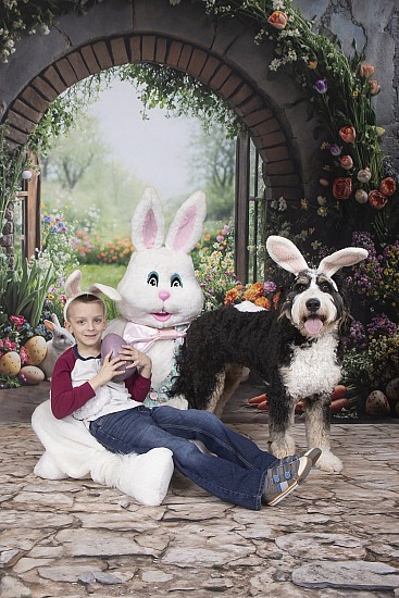 Easter bunny at Woof Wise Training Sunday 3/22/26
