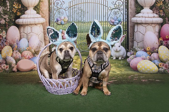 Spring & Easter at Avon Hollywood Feed 3/15/26