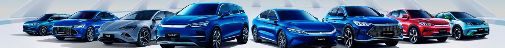 Banner da OSTEN BYD SP