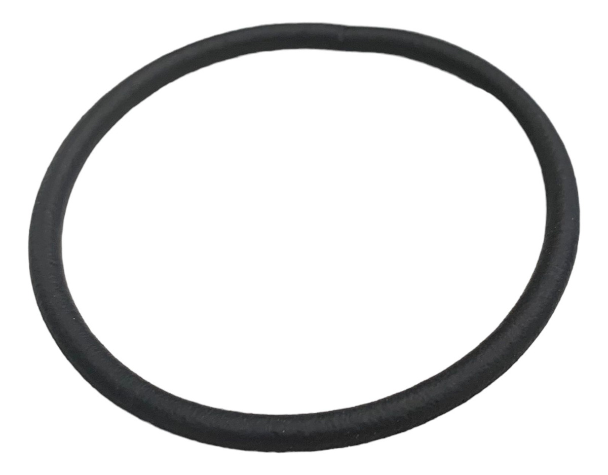 Retentor de vedação da caixa de ar  - TRIUMPH - T2208180
