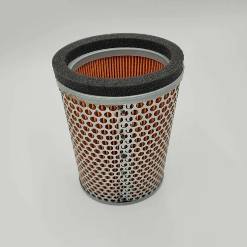 Filtro de ar - TRIUMPH - T2201548