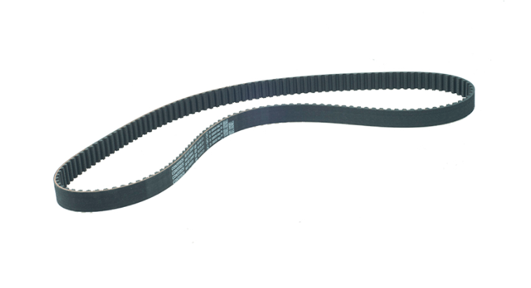 CORREIA DENTADA