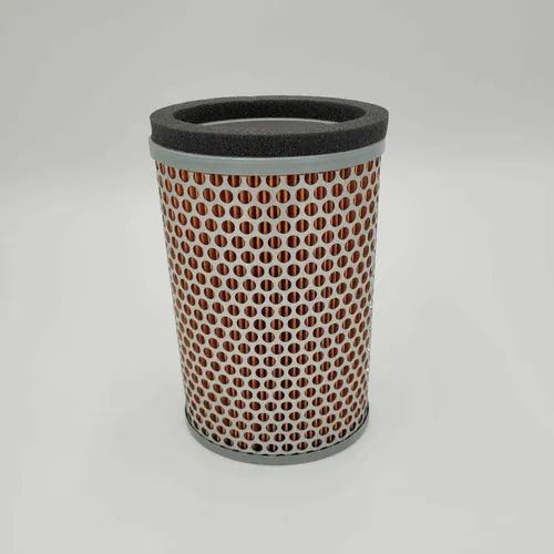 Filtro de ar - TRIUMPH - T2201548