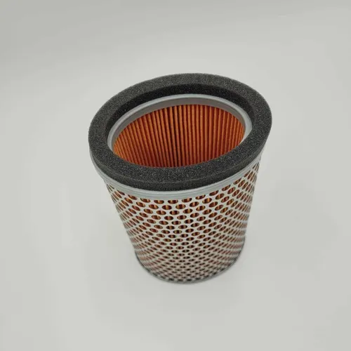 Filtro de ar - TRIUMPH - T2201548
