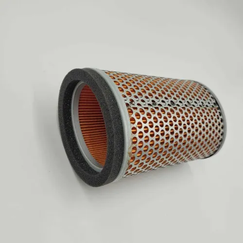 Filtro de ar - TRIUMPH - T2201548
