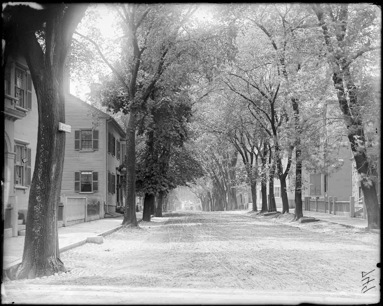 Cousins, Frank, 1851-1925. Chestnut Street from Summer Street, views, Salem. Photographs, Glass negatives. Phillips Library at the Peabody Essex Museum. Photo Vault, Box 24.