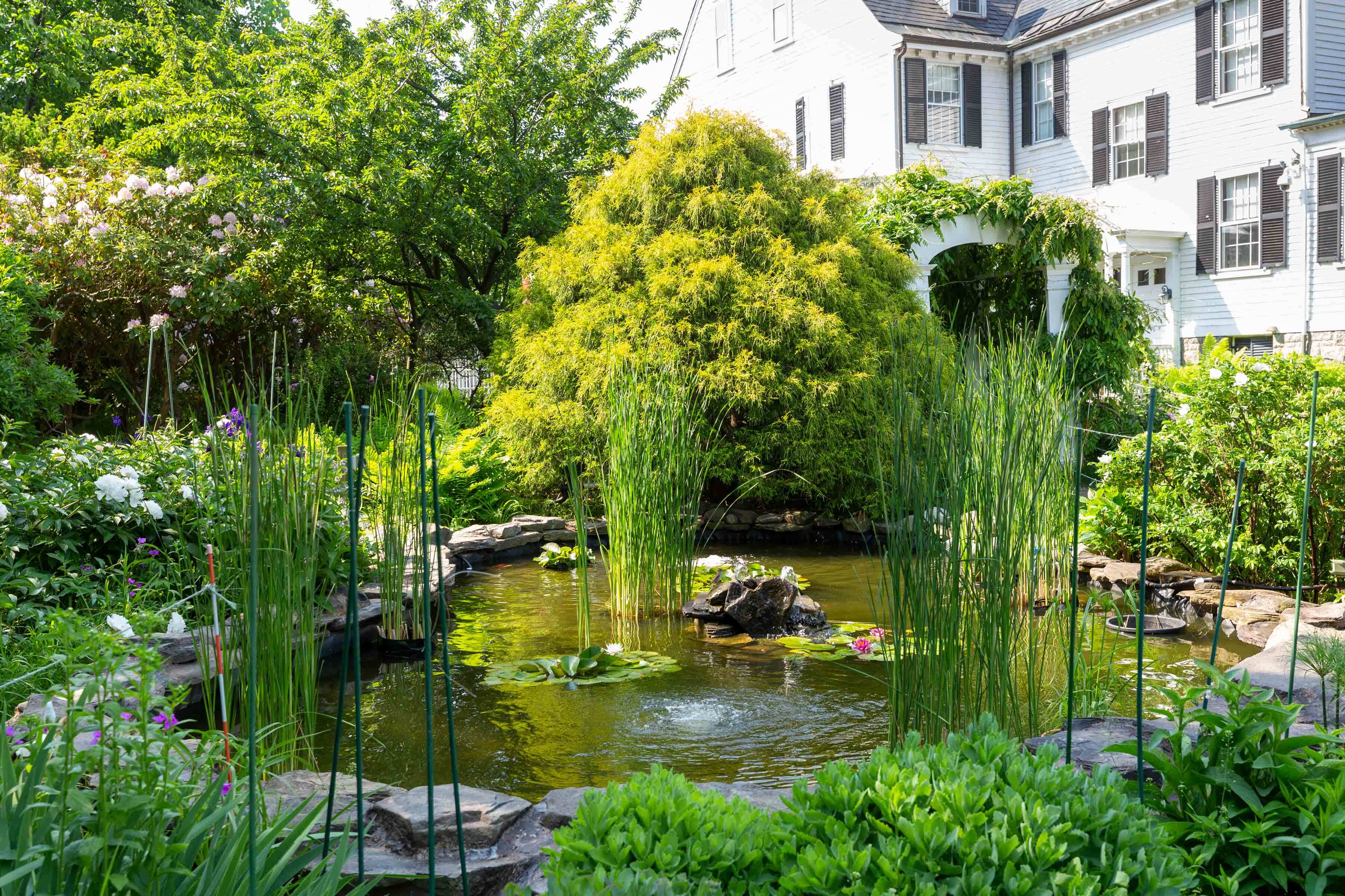 Ropes Garden goldfish pond. Photo by Kathy Tarantola/PEM.