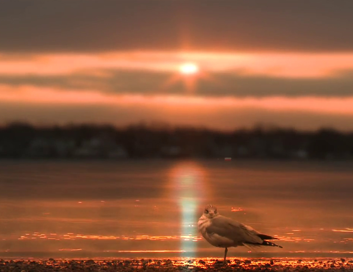 Still from Morning Glory, 2013