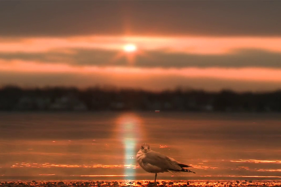 Blog Beyondthe Broom Sunset