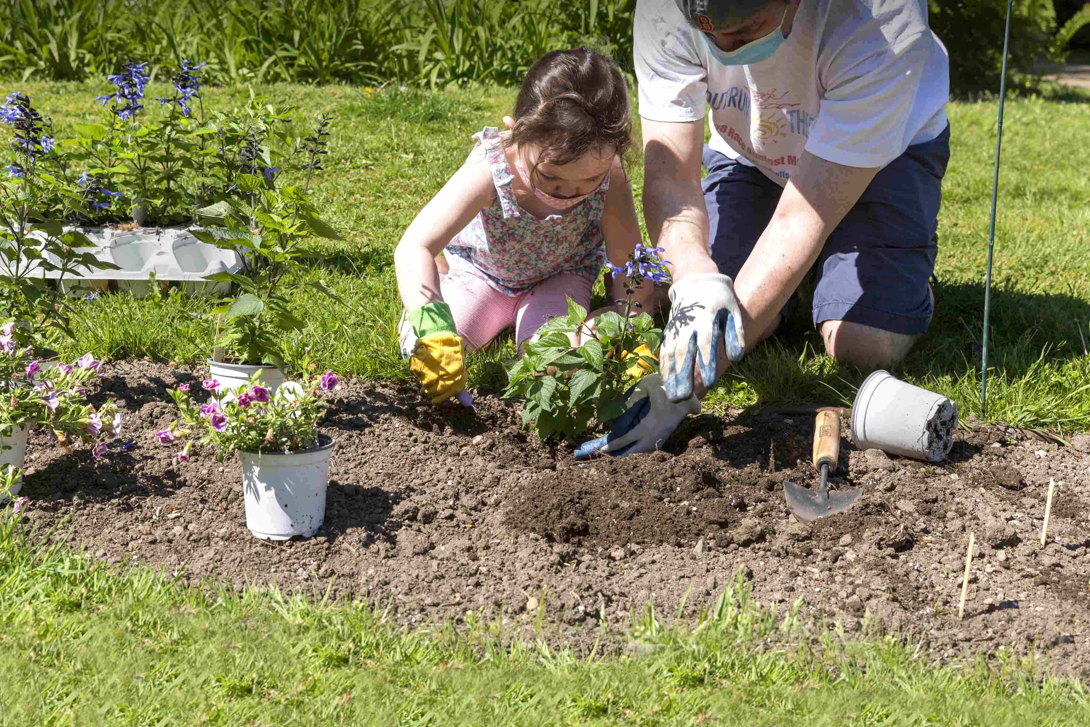 Cultivating community