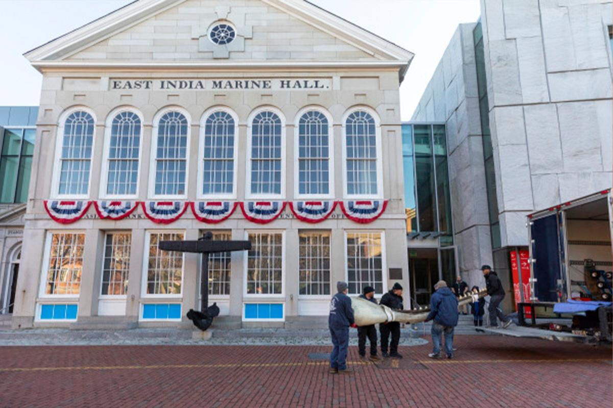 A moving team maneuvers the historic whale jaw into East India Marine Hall.