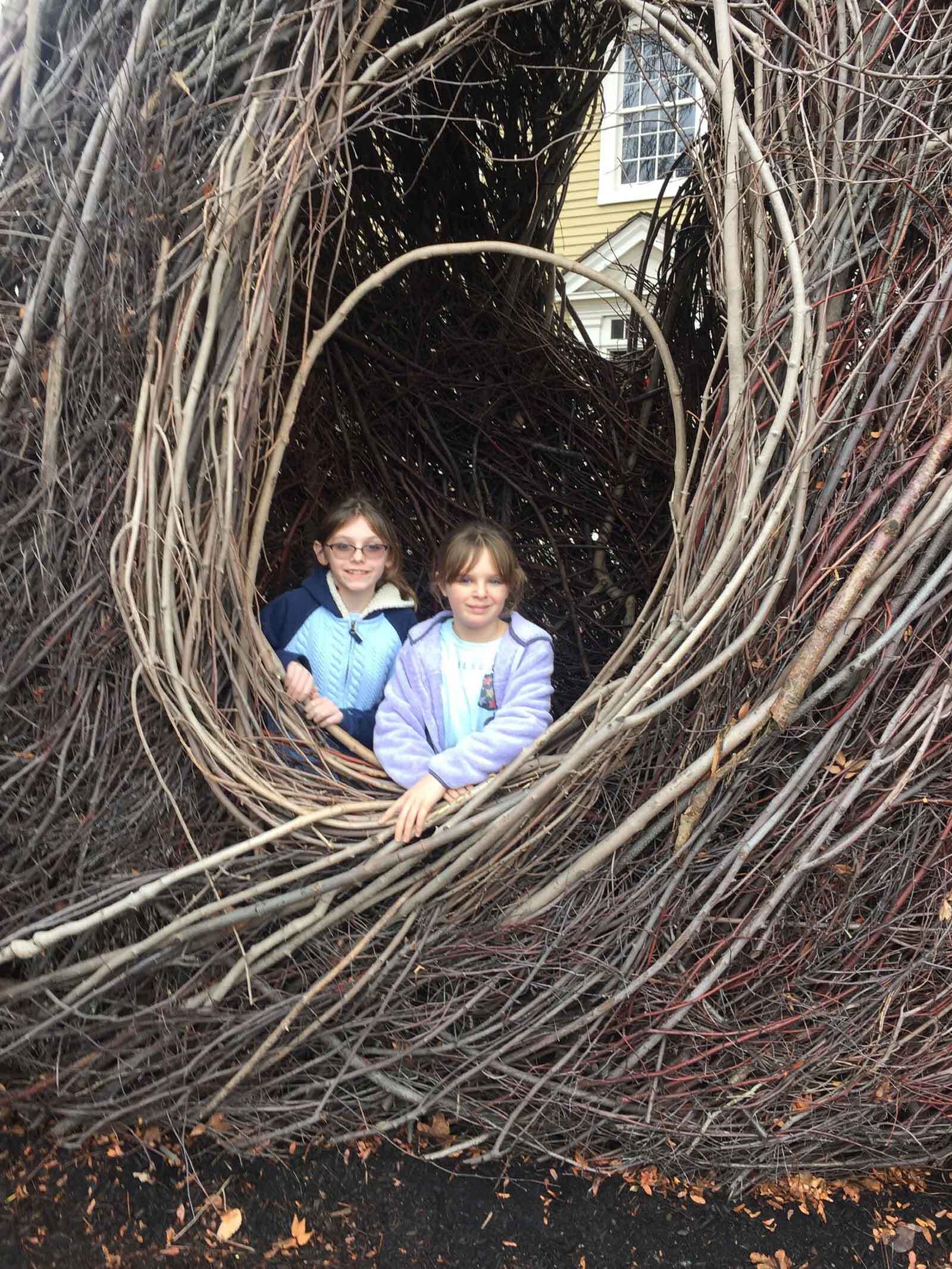 Author Lilly Glass and her sister Hannah peek out of a huge nest of sticks in a childhood photo.