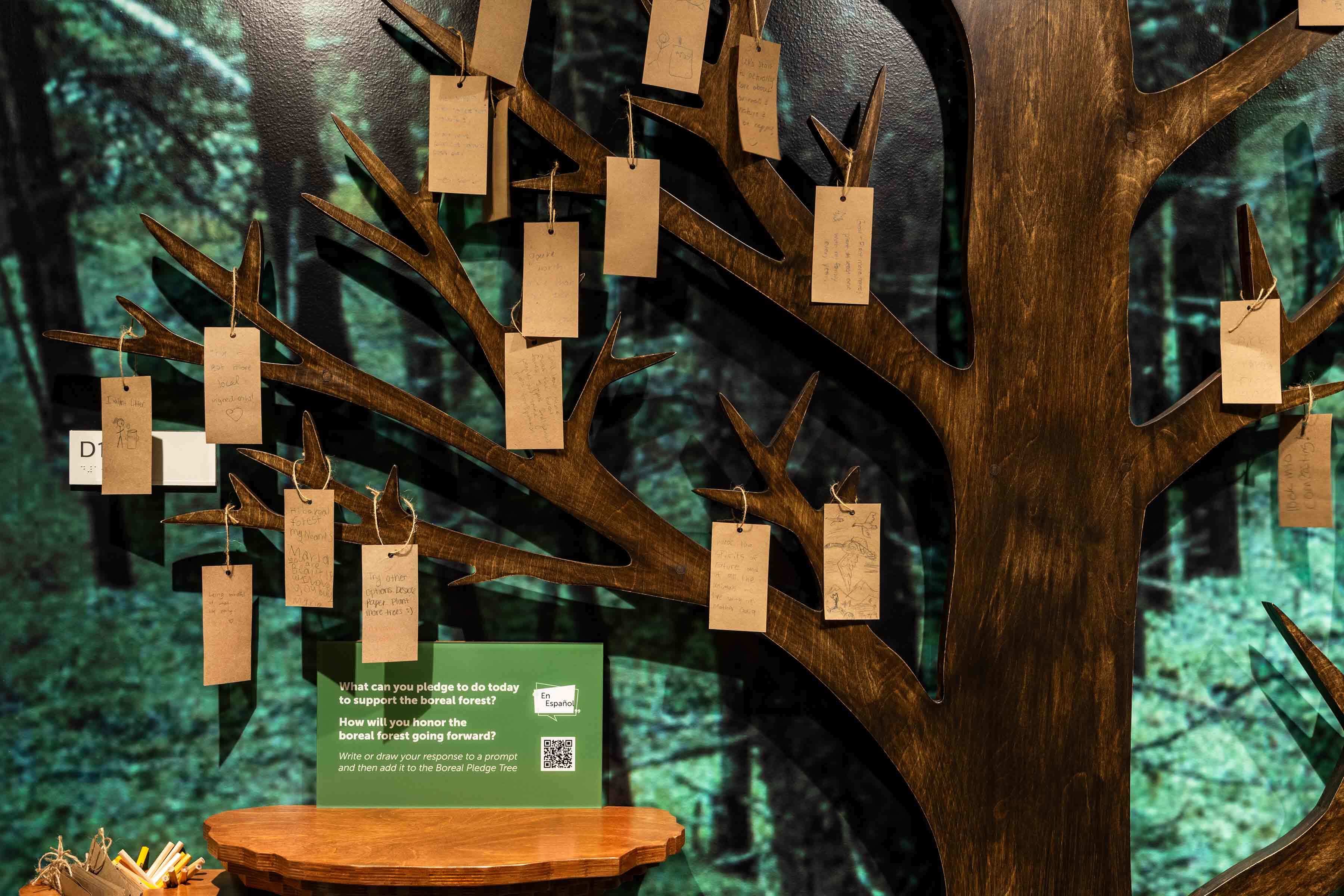 Handwritten cards hang on a life-size wooden cutout of a tree with bare branches.