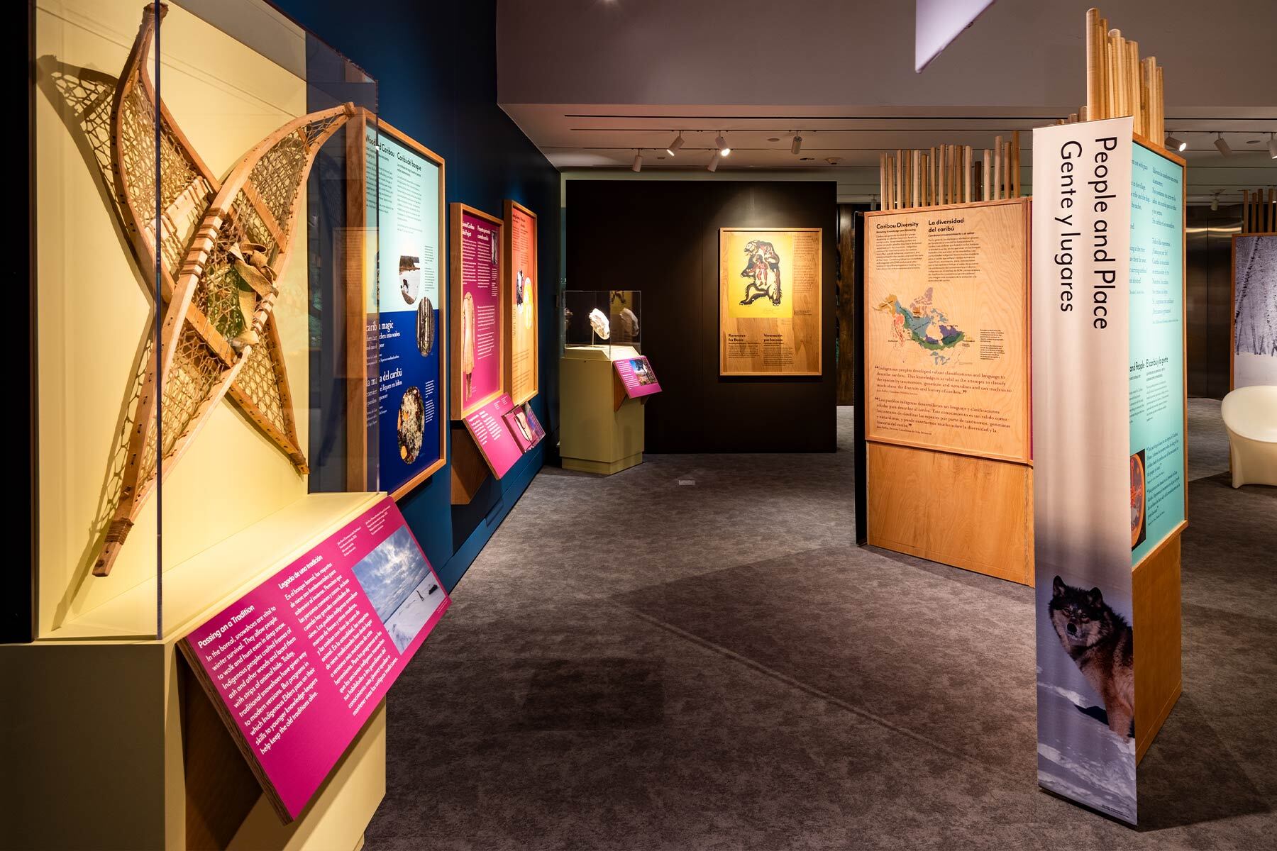 A dimly lit museum display (Knowing Nature) featuring a pair of snow shoes and images of a snowy forest.
