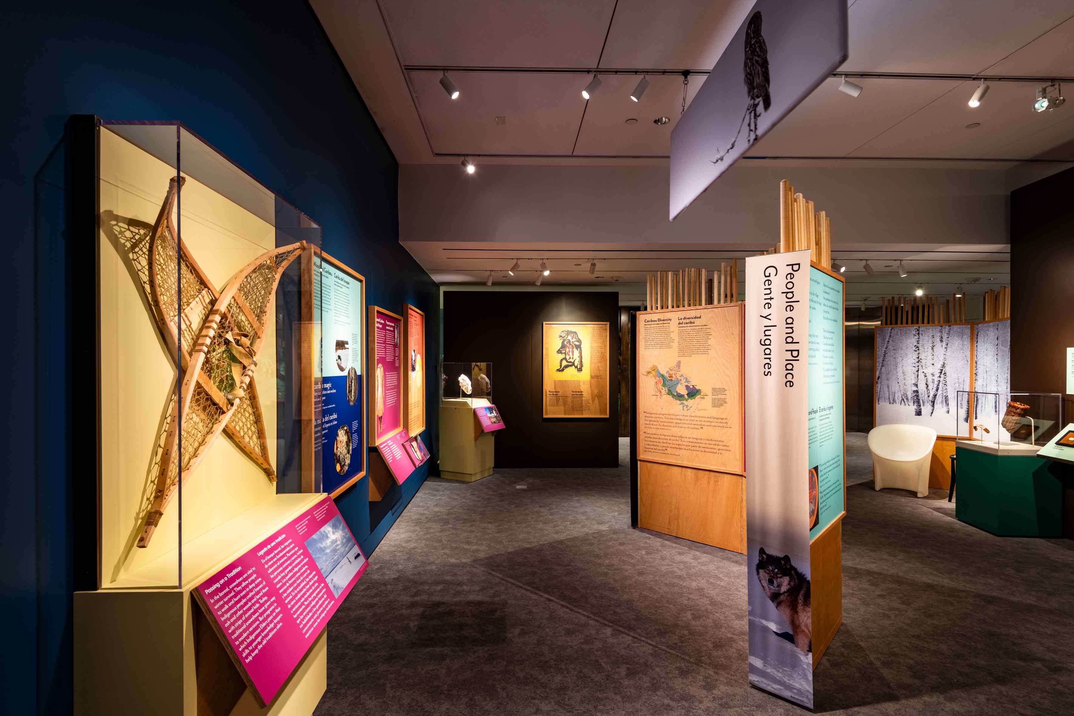 A dimly lit museum display (Knowing Nature) featuring a pair of snow shoes and images of a snowy forest.