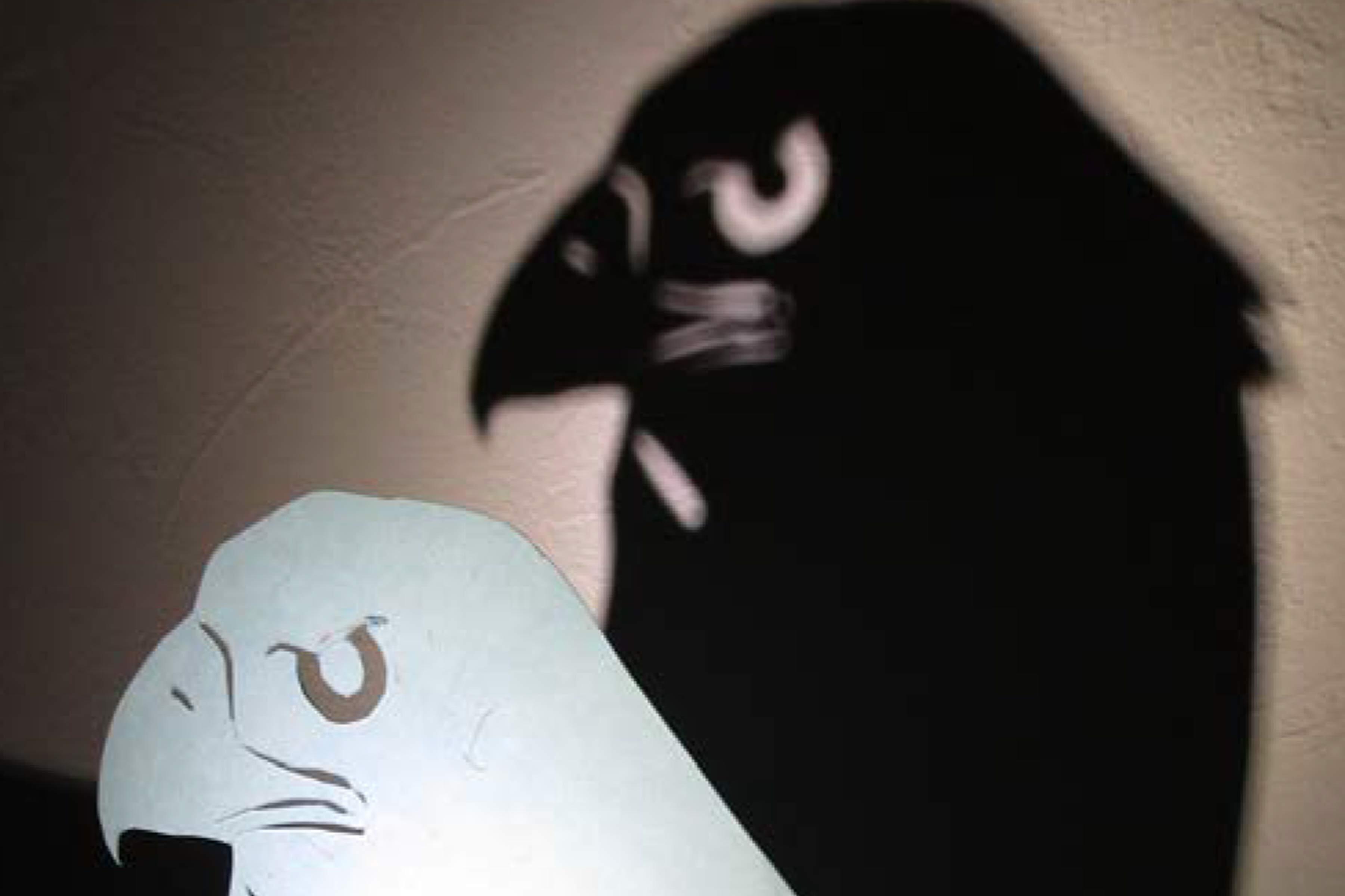 Eagle Shadow Puppet