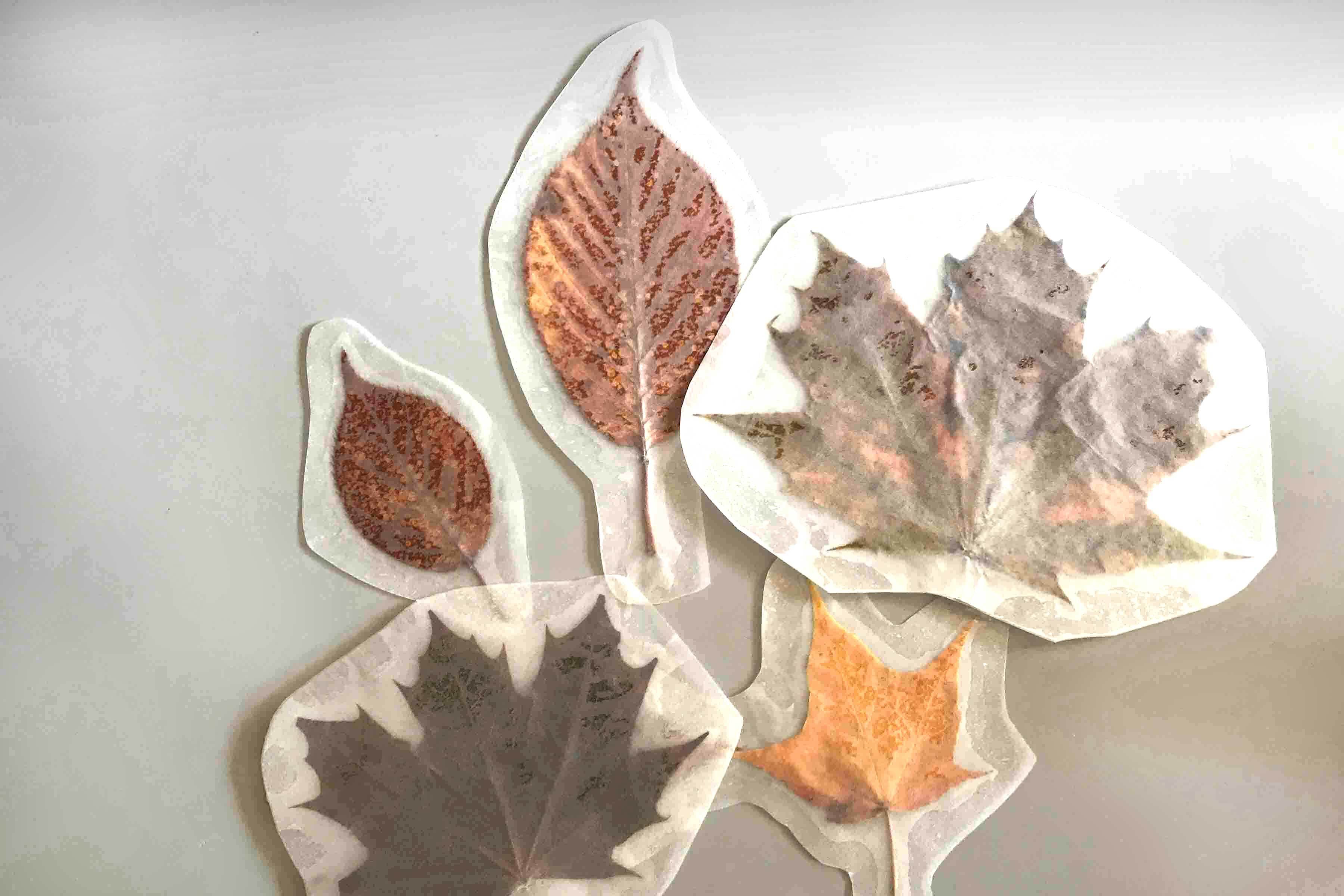 Leaf ornaments