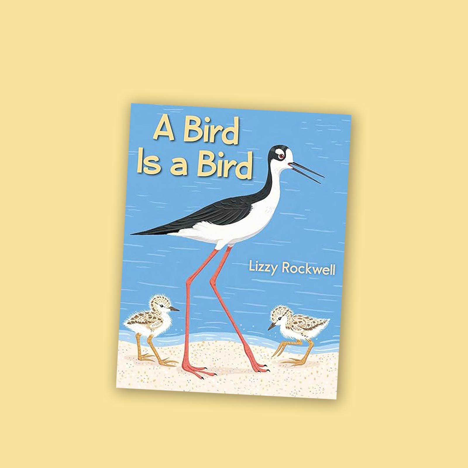 Ev A Bird Is A Bird 1600 Split Hero