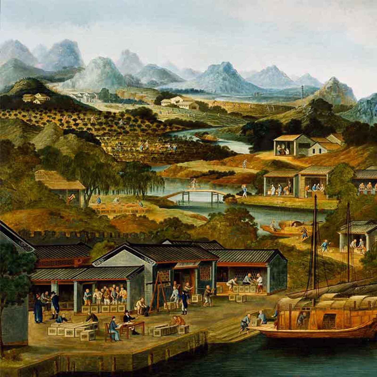 Tea Production in China, about 1800