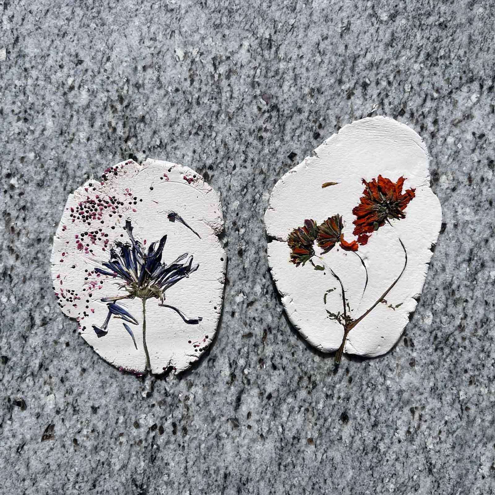 Flowers pressed into clay slabs