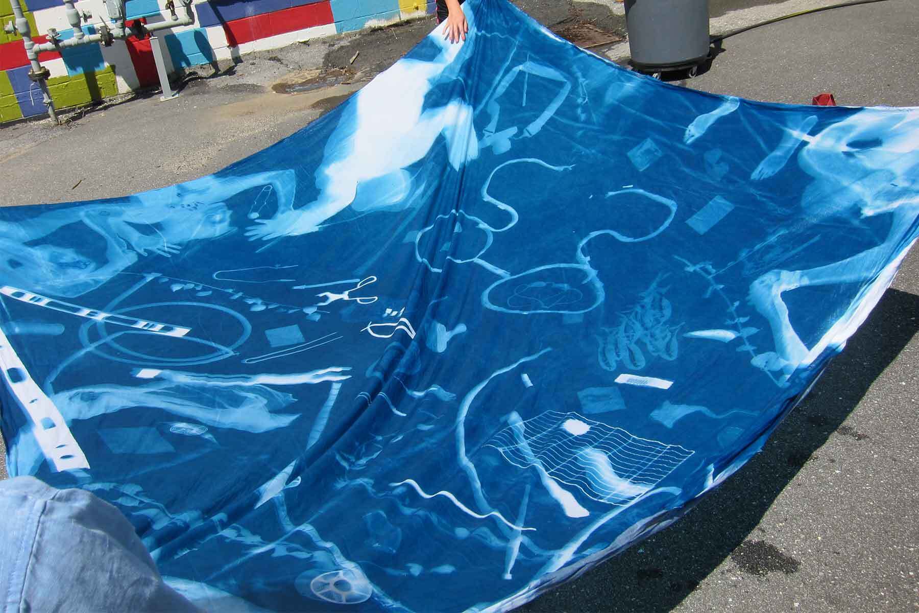 Creative Foundations: Cyanotypes