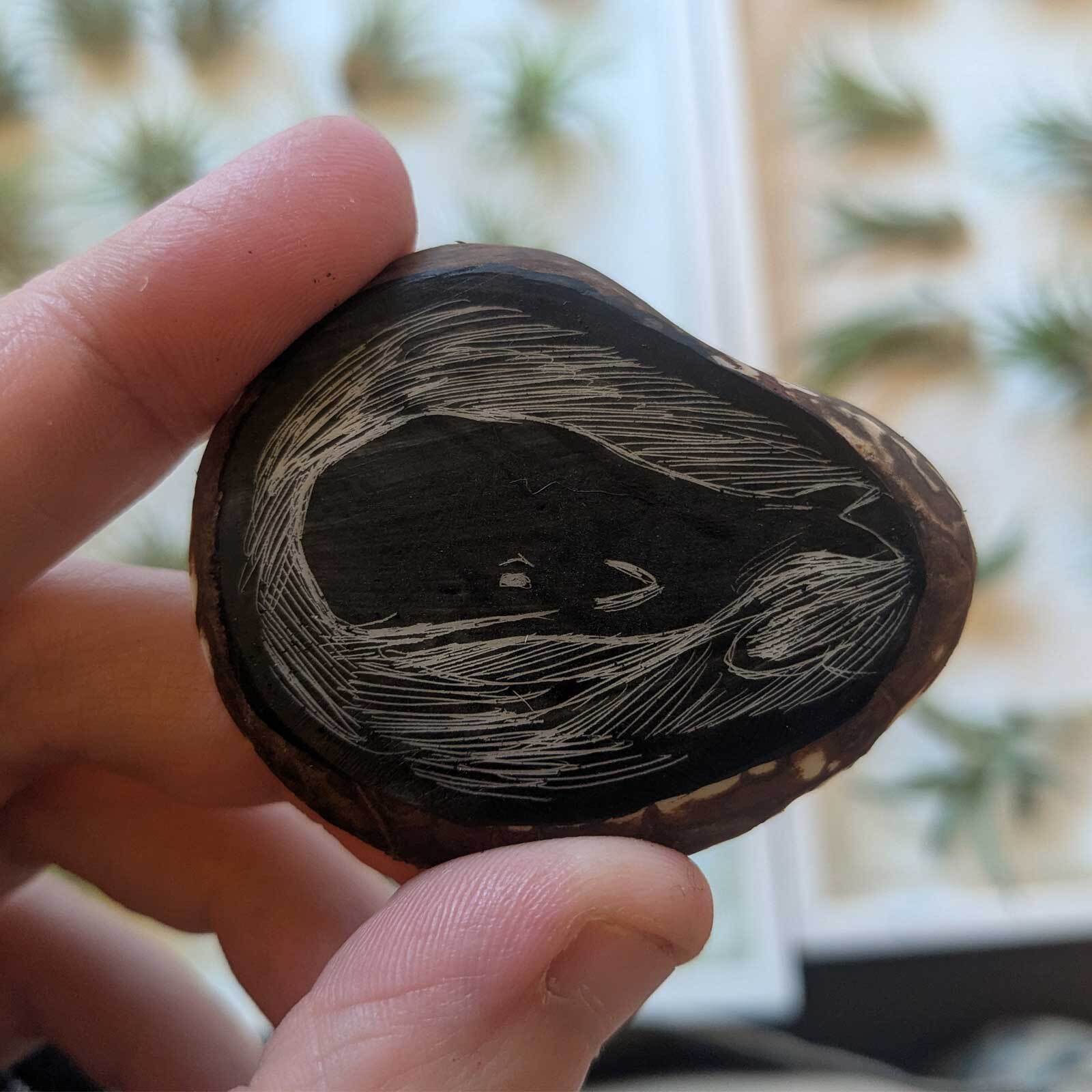 Ev Drop In Art Scratchboard 1600 Split Hero