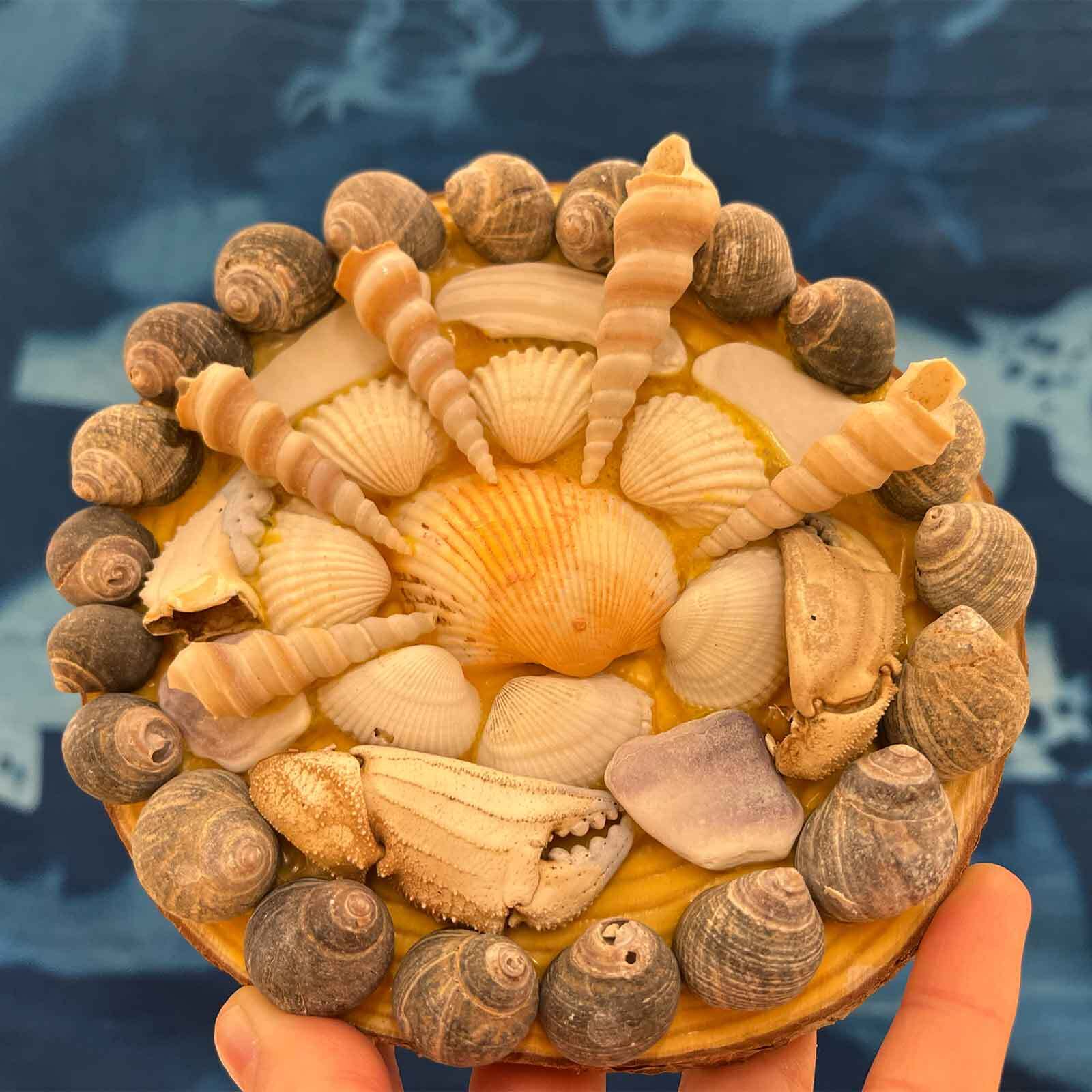 A hand holds a circular seashell collage with layered shells arranged in a sunburst pattern against a deep blue abstract background.