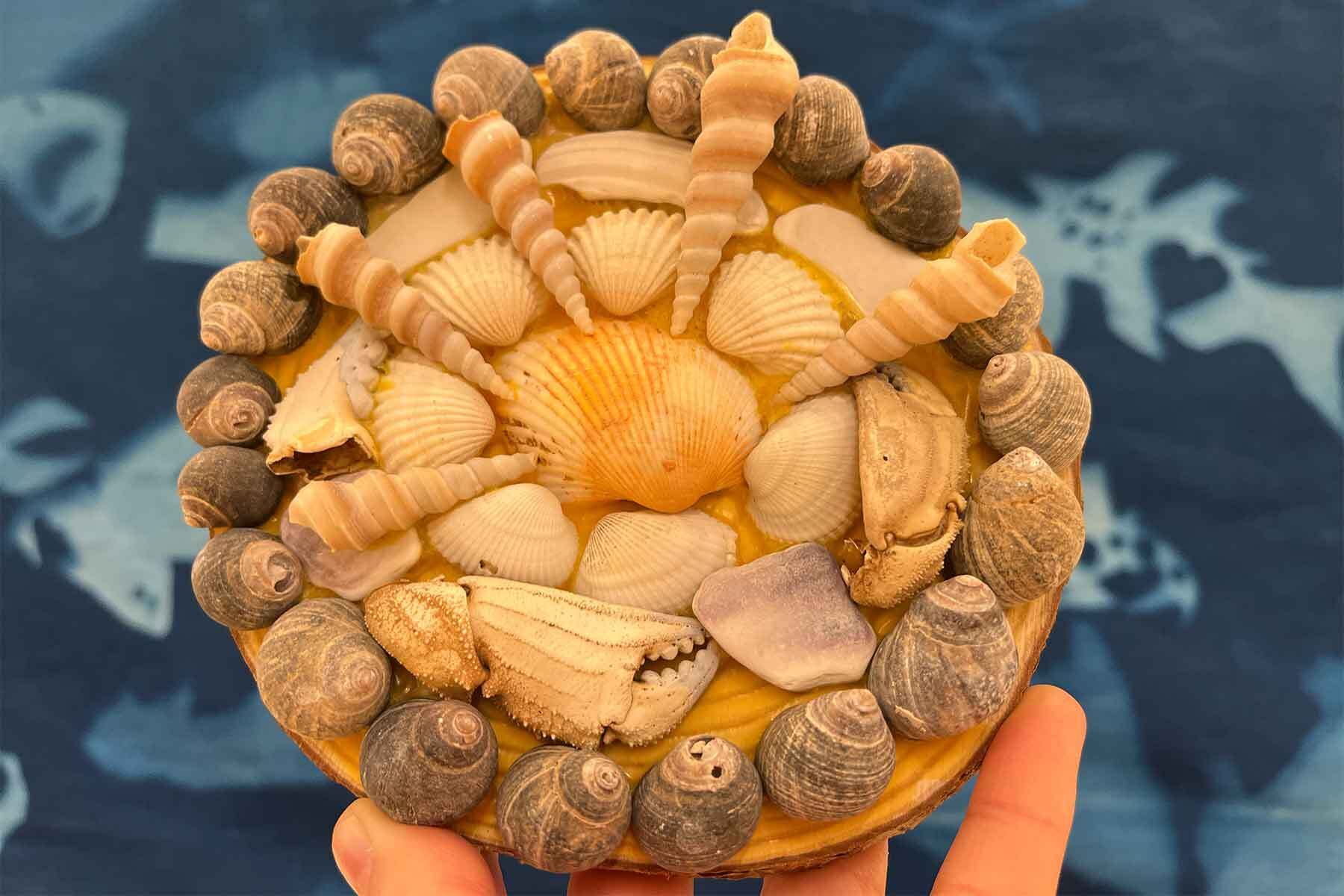 Friday Afternoon Drop-In Art: Seashell Mosaics
