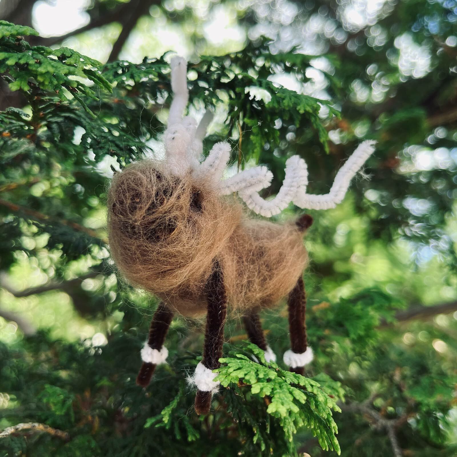 Caribou-shaped ornament hanging from an evergreen tree