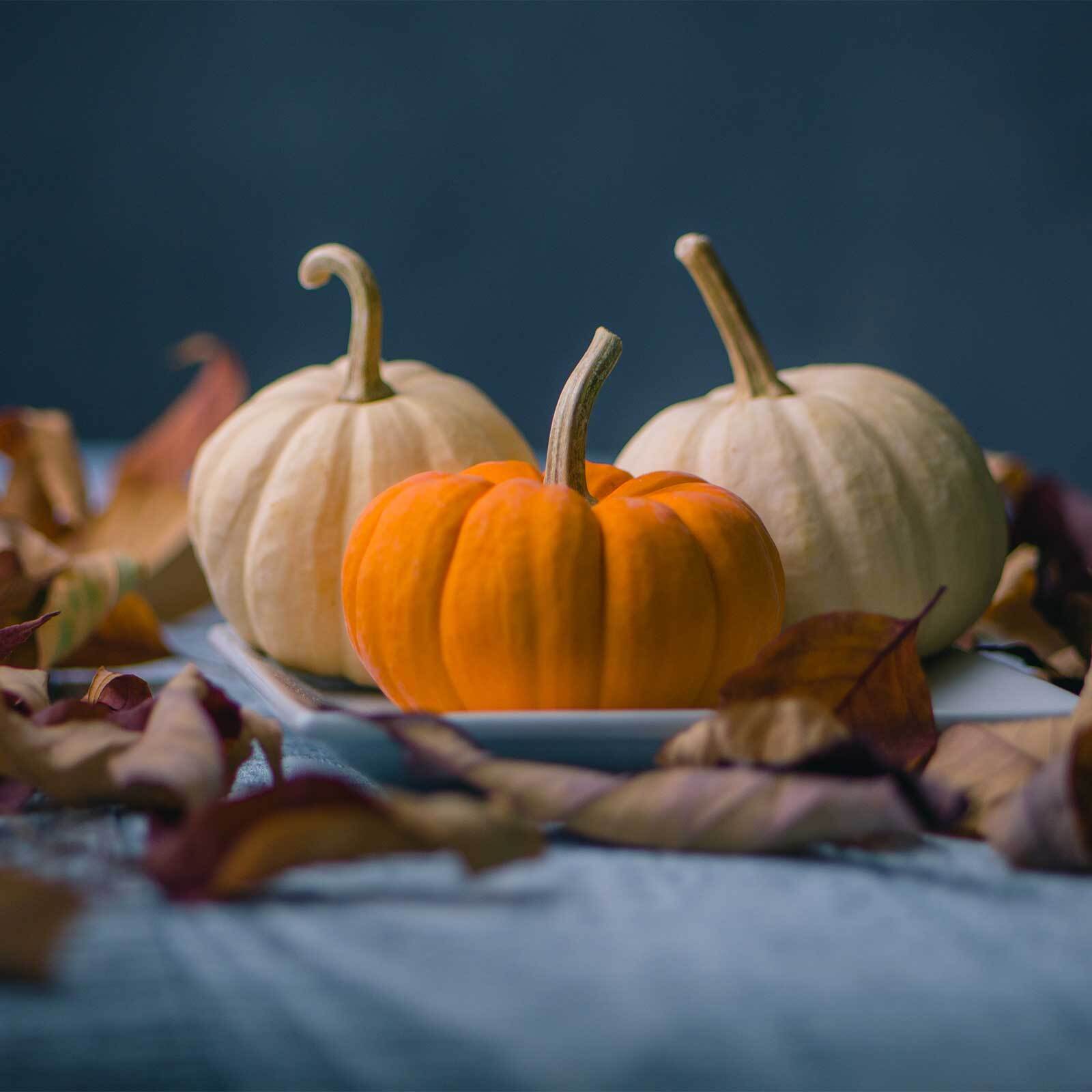Gourd Centerpieces