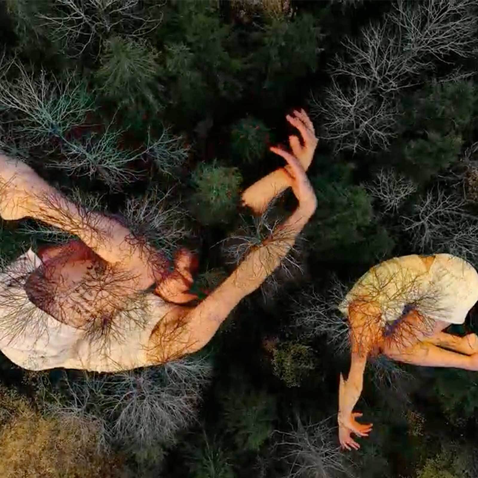 Freeze frame from Field Studies (Symbiosis) video by Fernanda D’Agostino, featuring Laura Kathrein