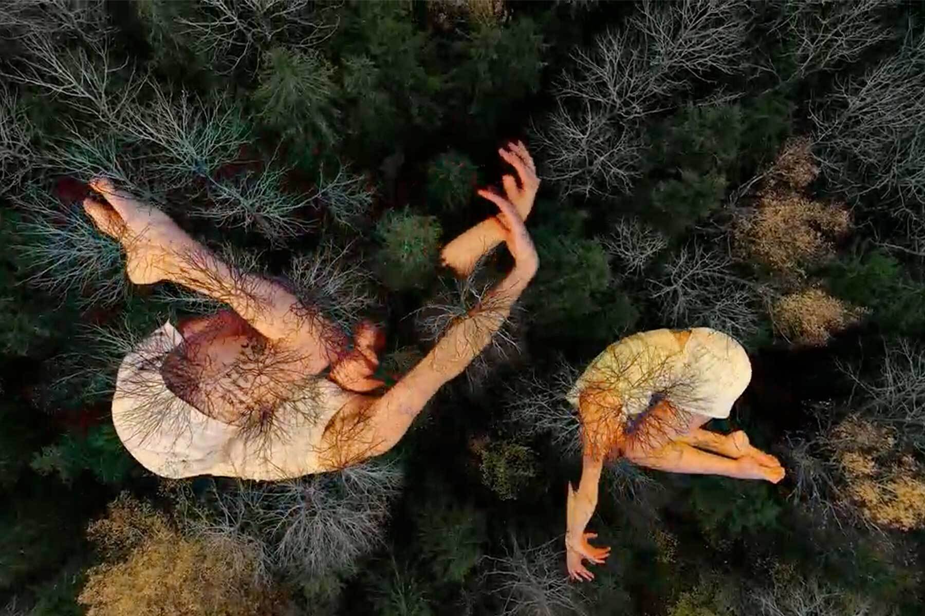 Field Studies (Symbiosis) Performance and Q&A