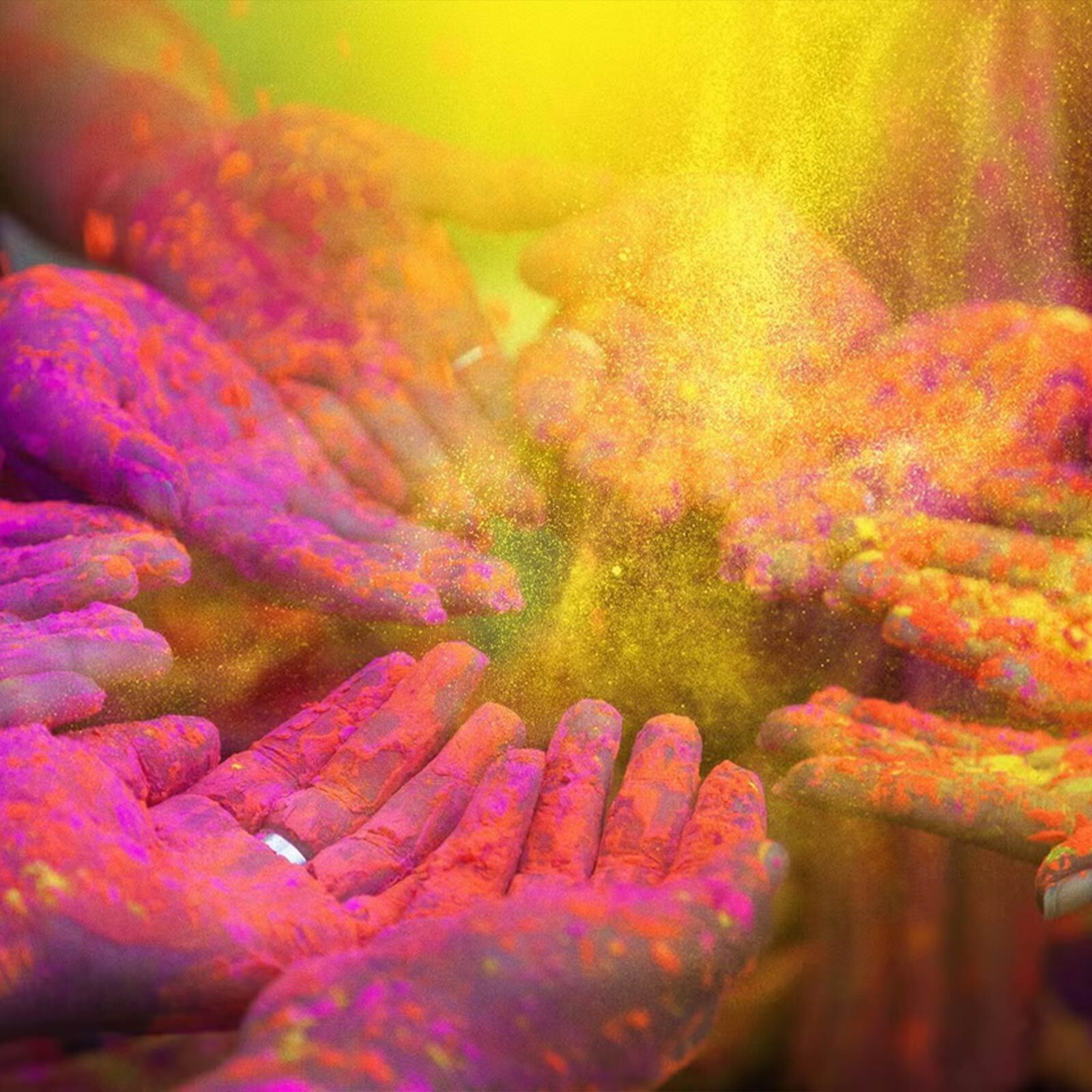 Ev Holi2026 1600 Split Hero