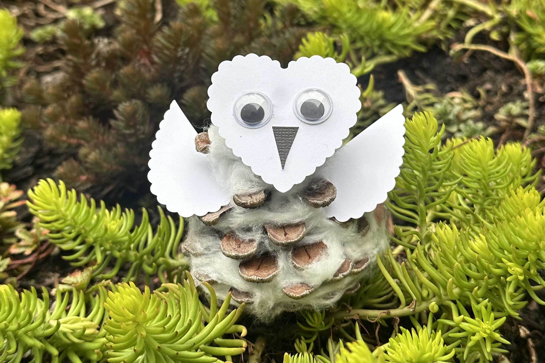 Drop-In Art: Pinecone Snowy Owls